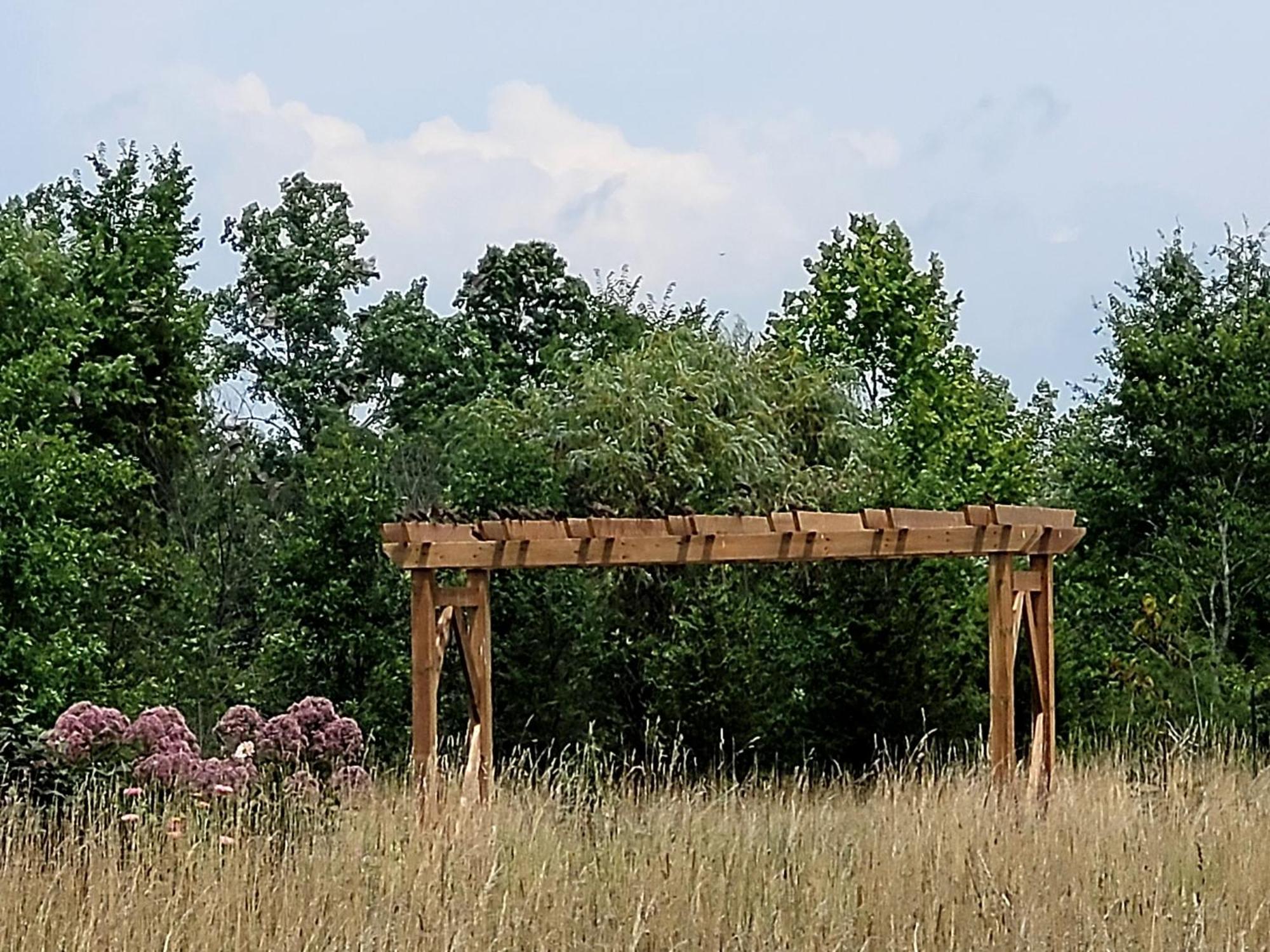 The Walnut Grove Bnb Harrow Zewnętrze zdjęcie